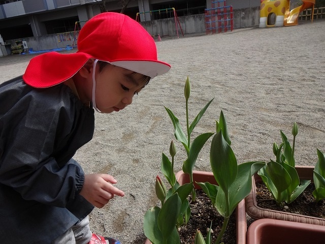 DSC04448.jpg