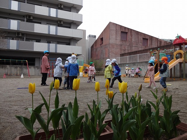 DSC04461.jpg