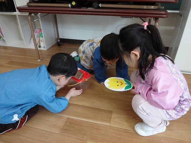 DSC04464.jpg