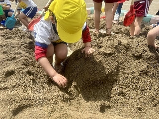 IMG_5662.jpg
