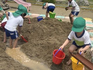 IMG_5671.jpg