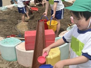 IMG_5672.jpg